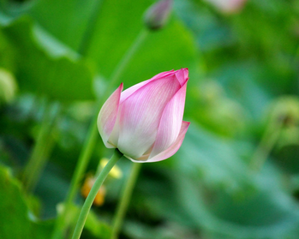 淘宝托管代运营靠谱吗(什么叫淘宝代运营)